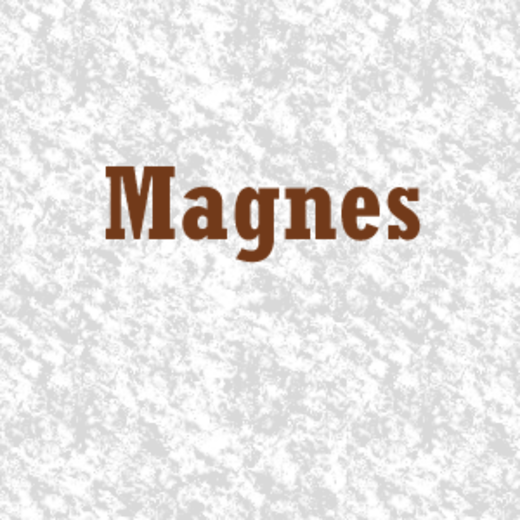 Magnes