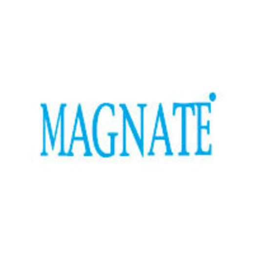 Magnate