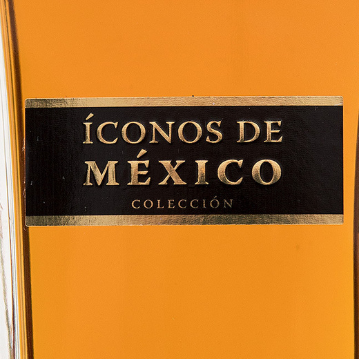 Iconos De Mexico