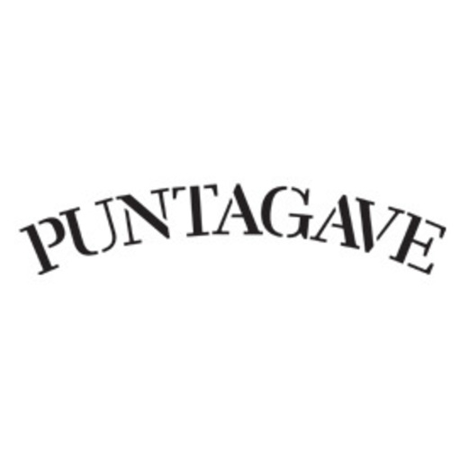 Puntagave