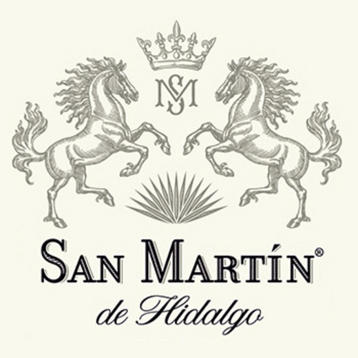 San Martín de Hidalgo