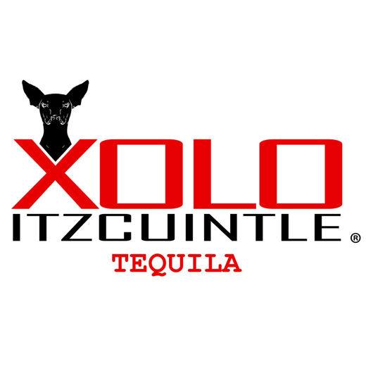 Tequila Xoloitzcuintle