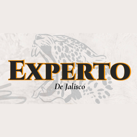 Experto de Jalisco