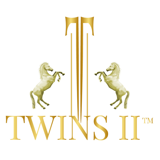 Twins II