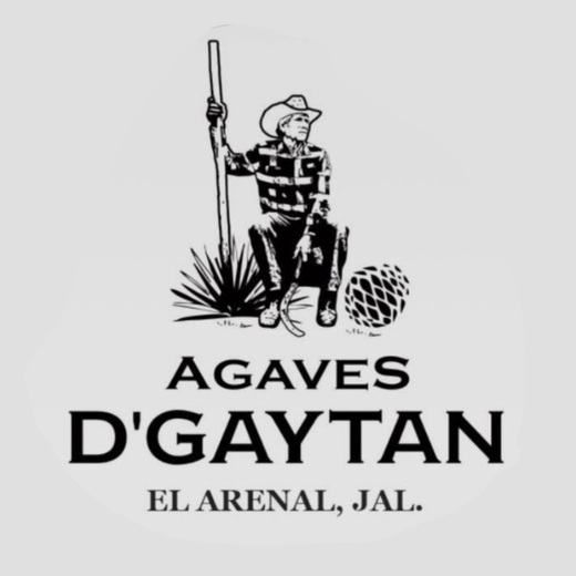 Agaves D´Gaytan