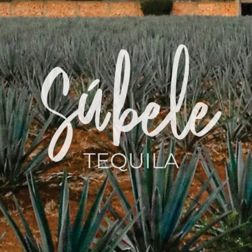 Súbele