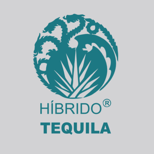 Híbrido