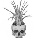 Muerte Spirits